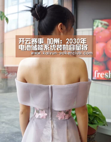 开云赛事_加州:2030年电池储能系统装机容量将达19GW(图2) 开云篮球